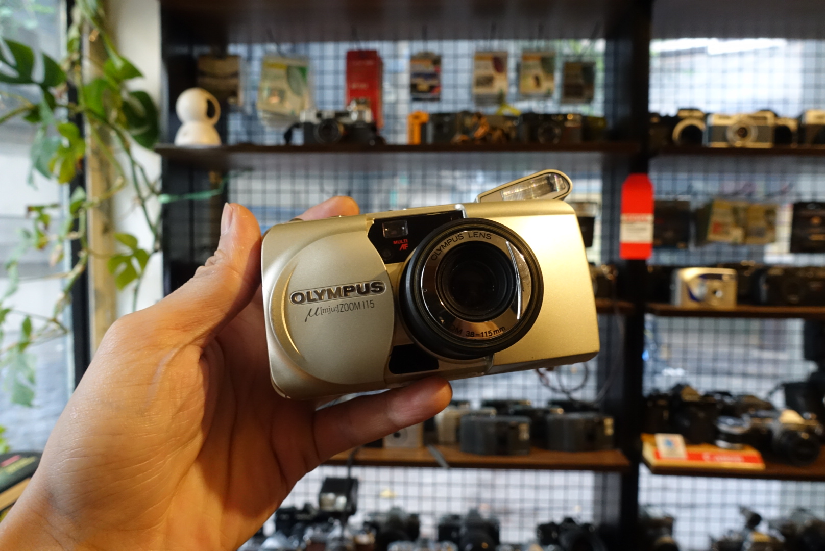 Olympus Mju Zoom 115 – Thường Xanh Film Store