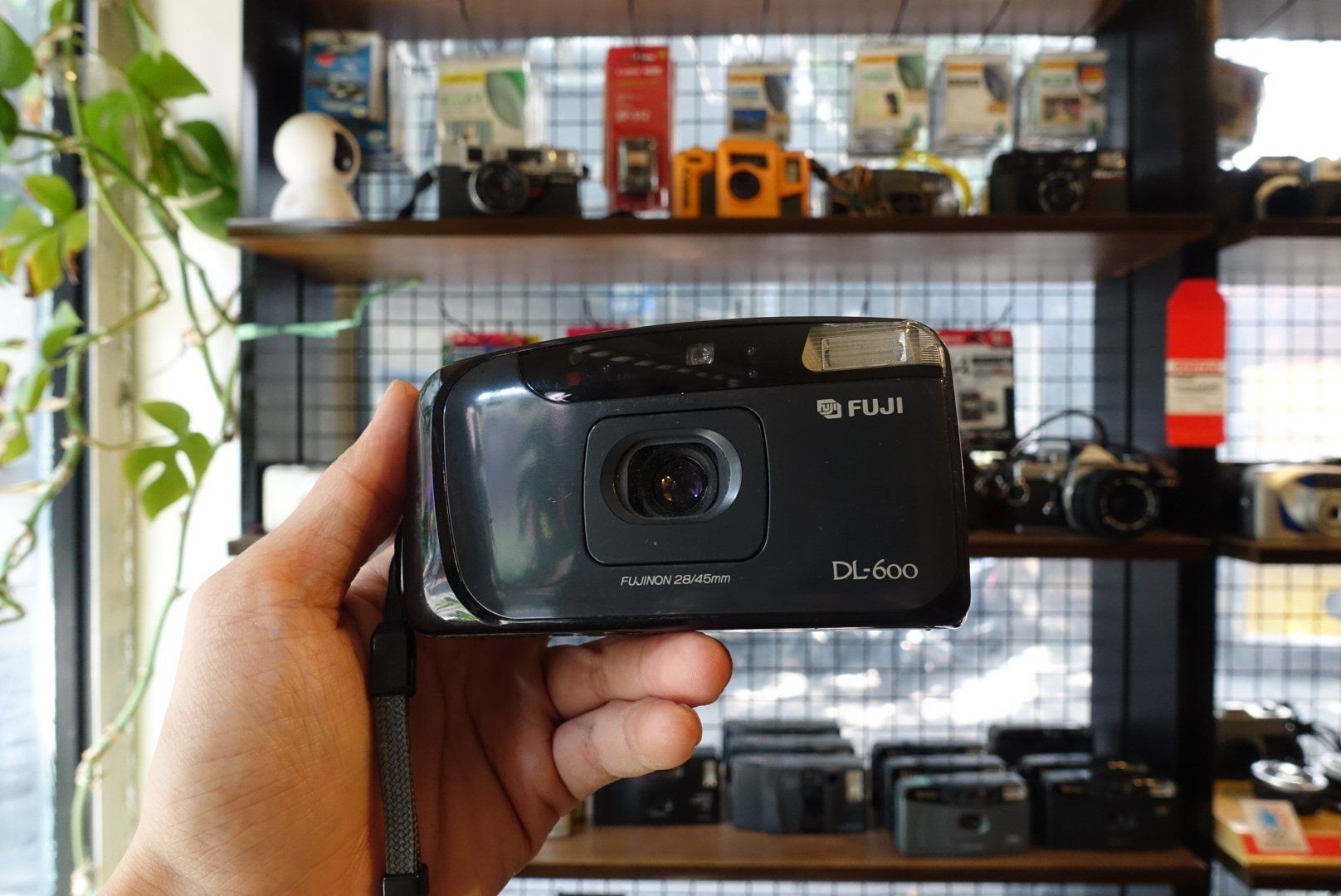 WORKING】FUJI CARDIA MINI EVERY DAY OP PANORAMA 35MM FILM