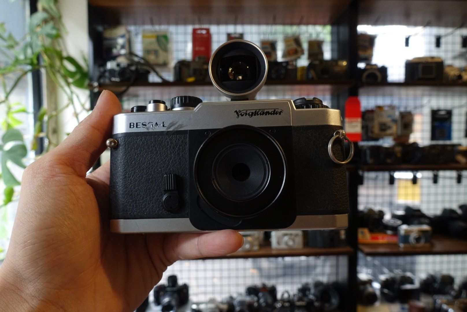  Voigtlander Bessa L 
