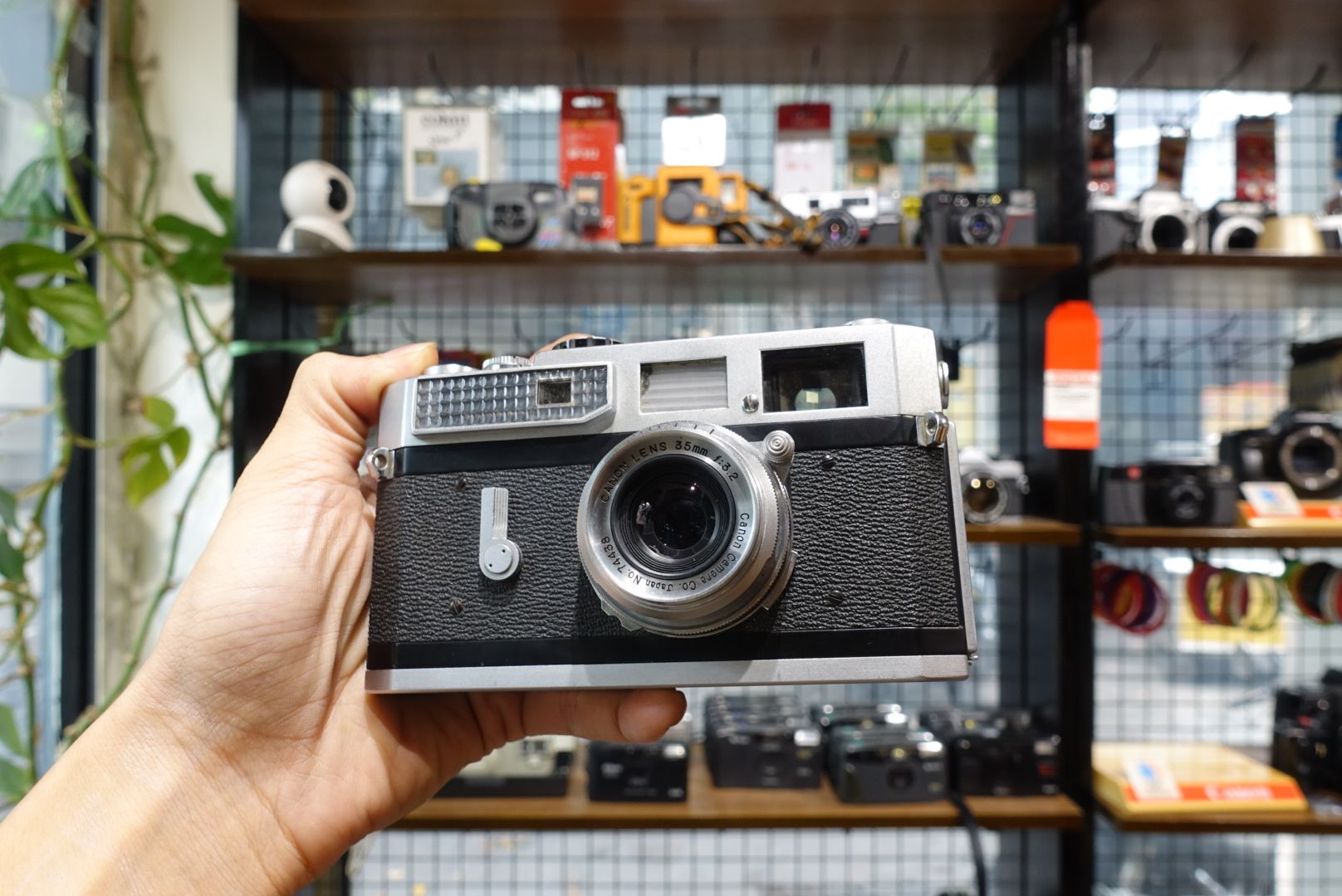  Canon 7 + Canon 35mm f3.2 