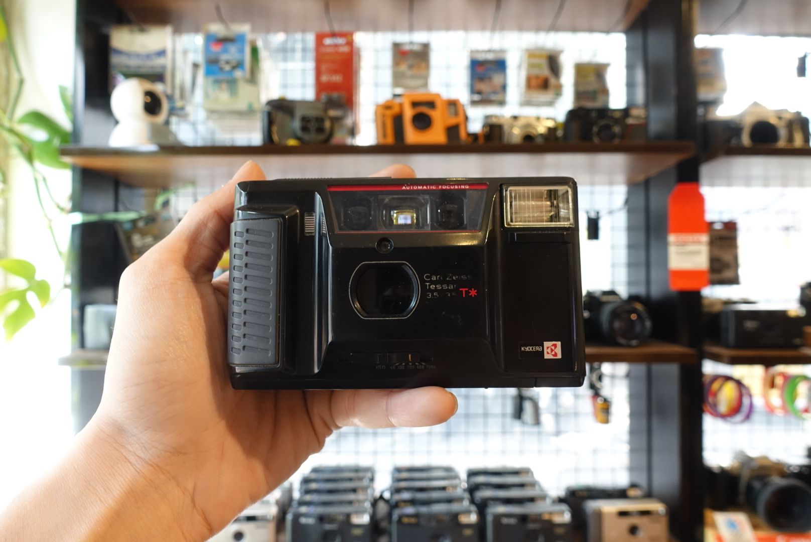  Yashica T AF-D 