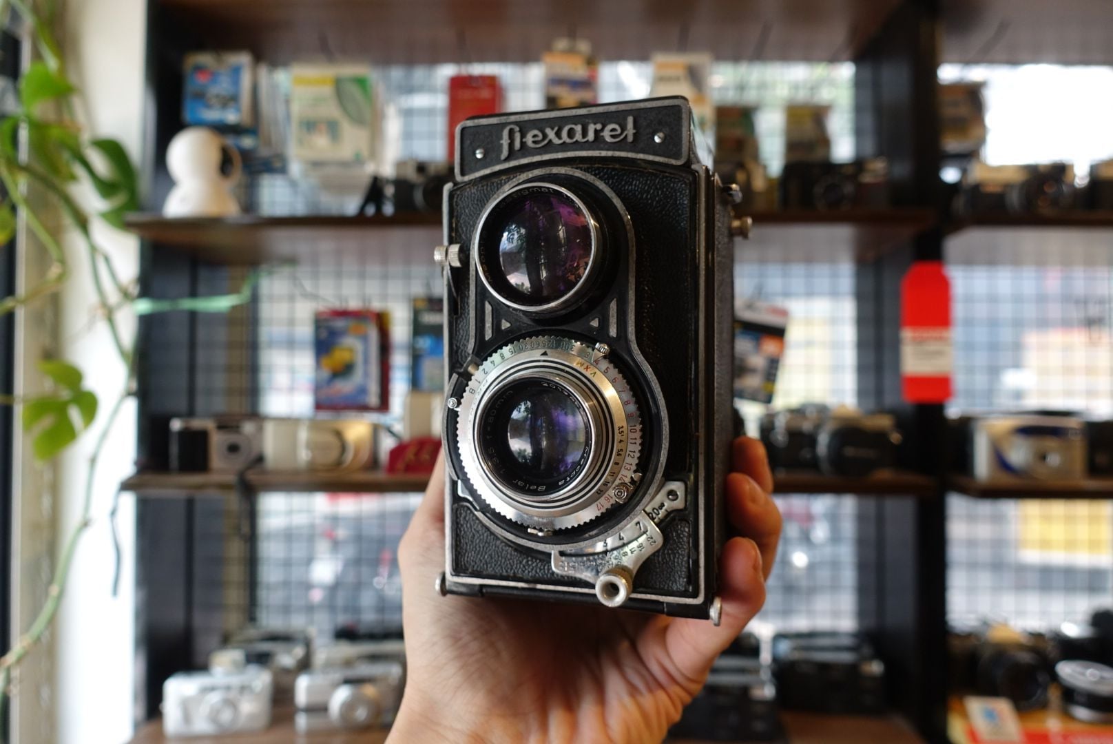  Flexaret TLR 