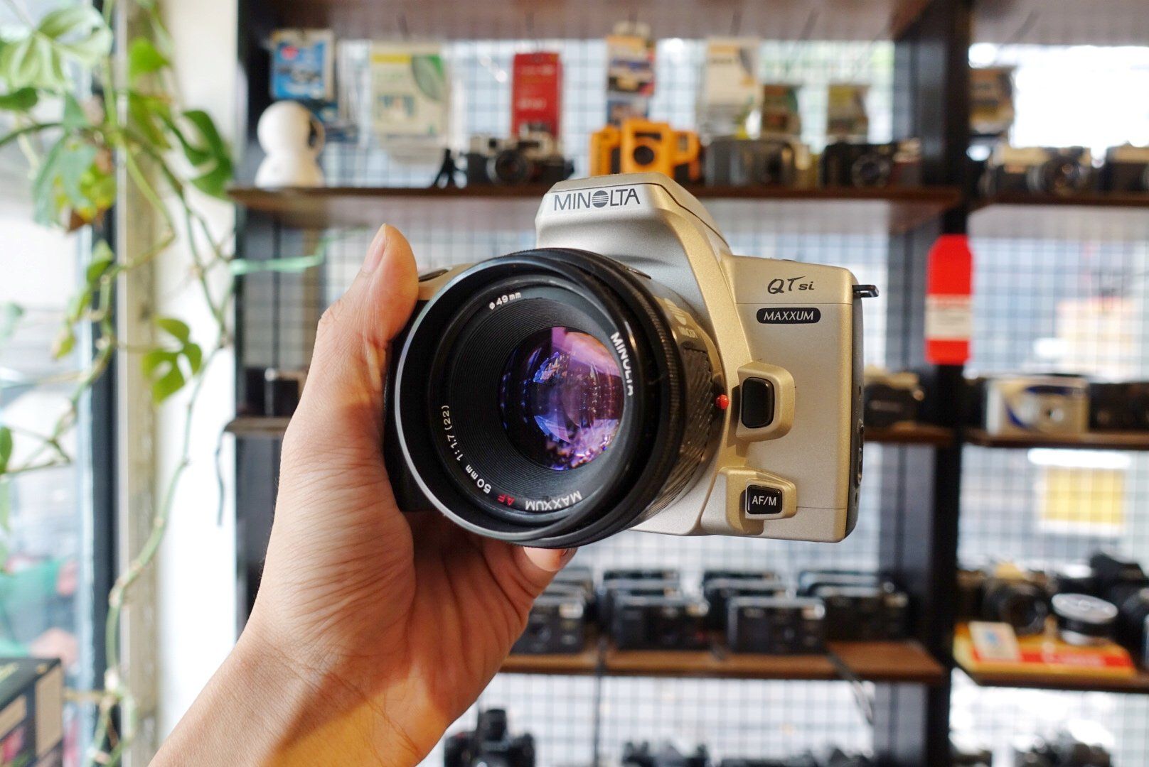  Minolta Maxxum QTsi / Minolta Maxxum AF 50mm f1.7 