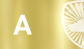 VÉ VIP 1