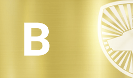 VÉ VIP 2