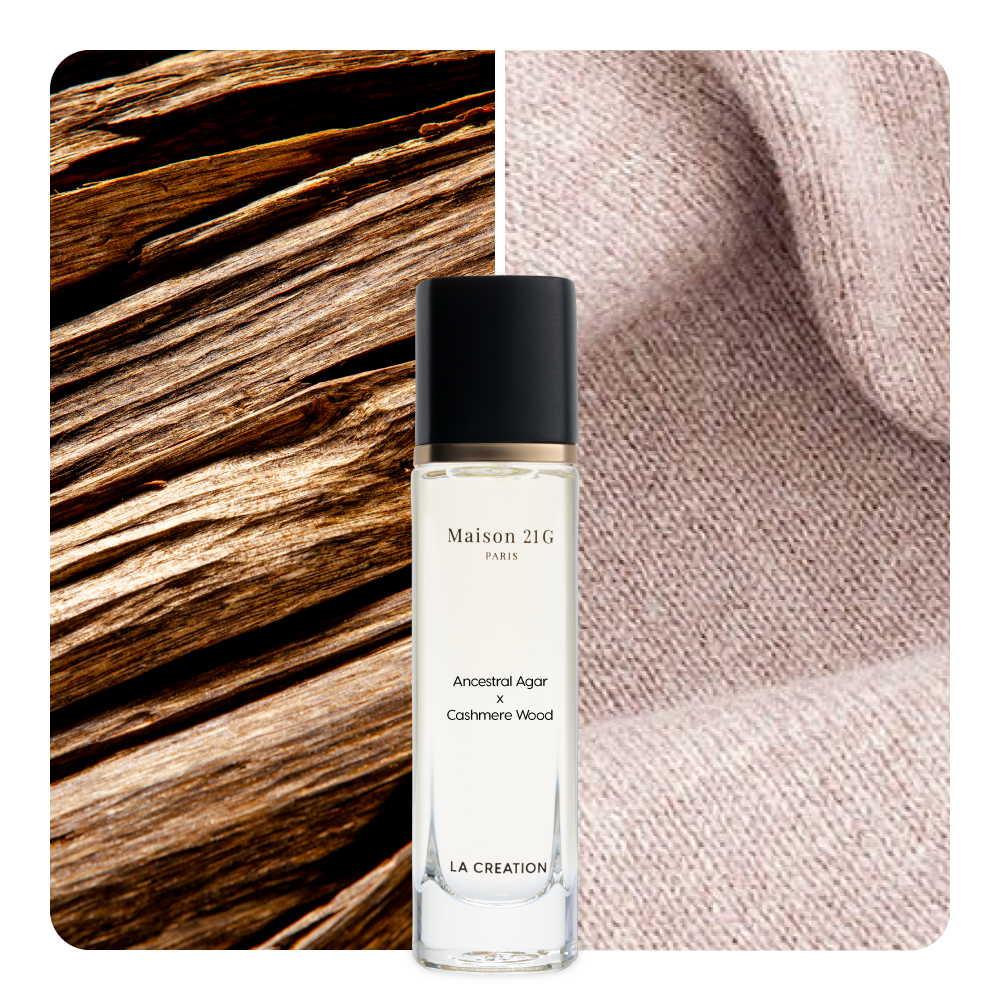 Nước hoa Ancestral Agar x Cashmere Wood