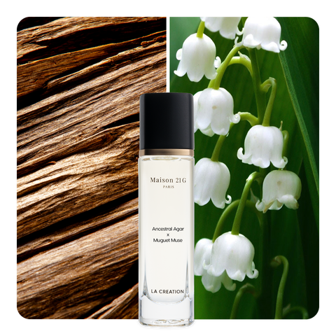 Nước hoa Ancestral Agar x Muguet Muse