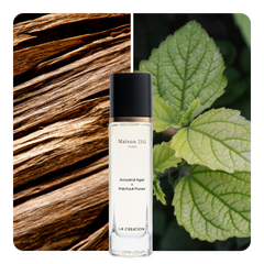 Nước hoa Ancestral Agar x Patchouli Power