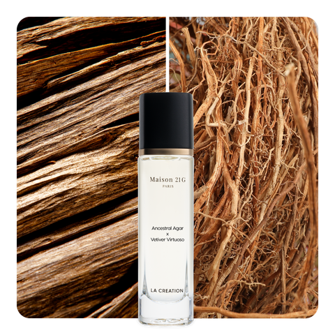Nước hoa Ancestral Agar x Vetiver Virtuoso