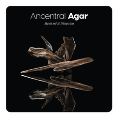 Nước hoa Ancestral Agar