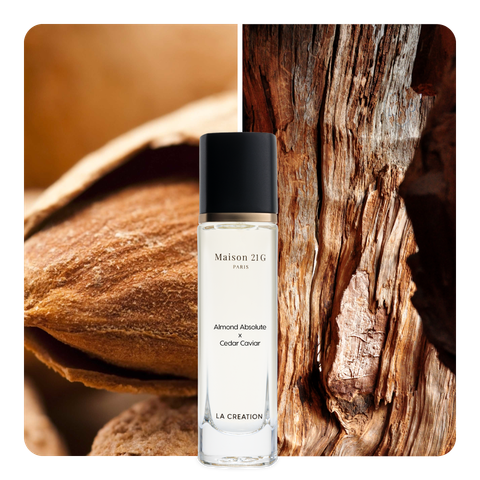 Nước hoa Almond Absolute x Cedar Caviar