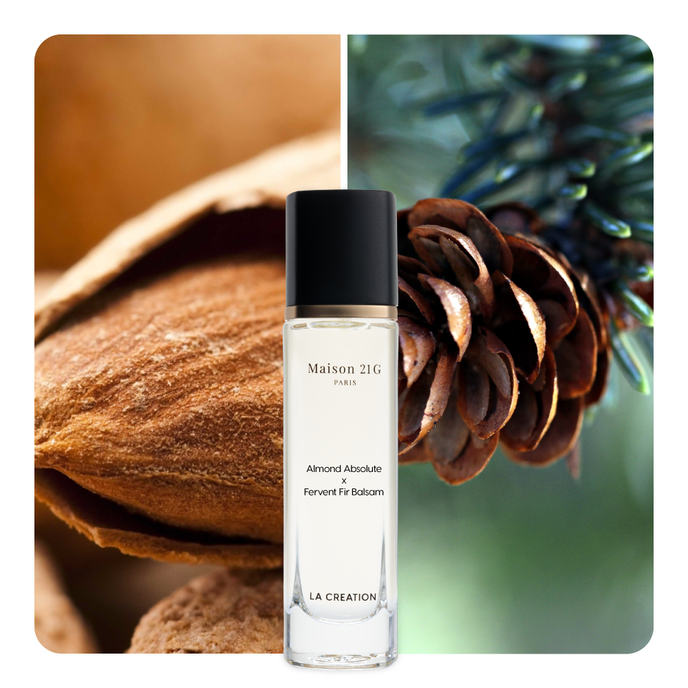 Nước hoa Almond Absolute x Fervent Fir Balsam