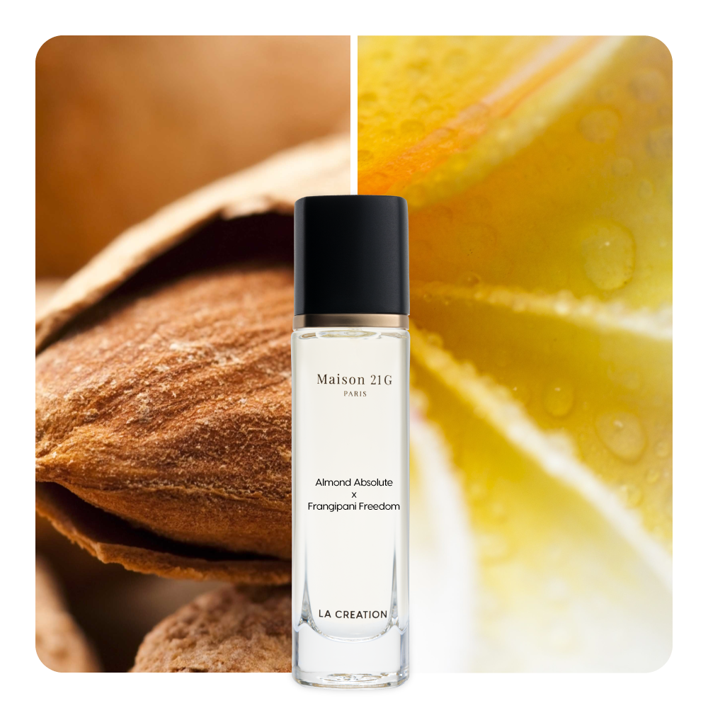 Nước hoa Almond Absolute x Frangipani Freedom