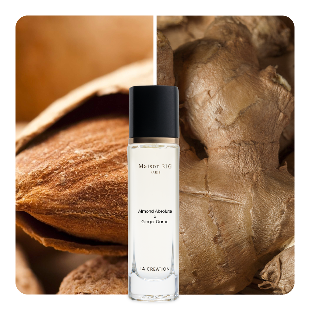 Nước hoa Almond Absolute x Ginger Game
