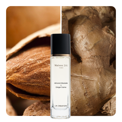 Nước hoa Almond Absolute x Ginger Game