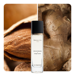 Nước hoa Almond Absolute x Ginger Game