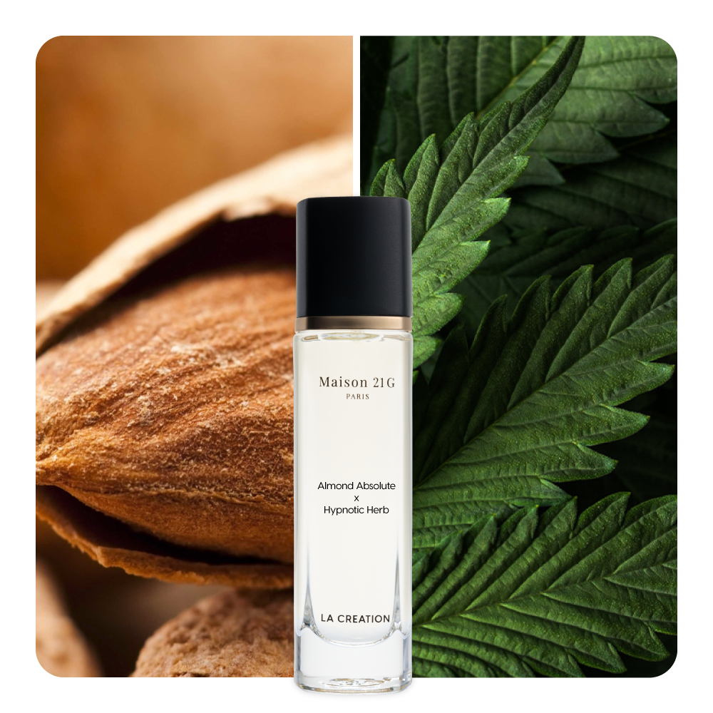 Nước hoa Almond Absolute x Hypnotic Herb