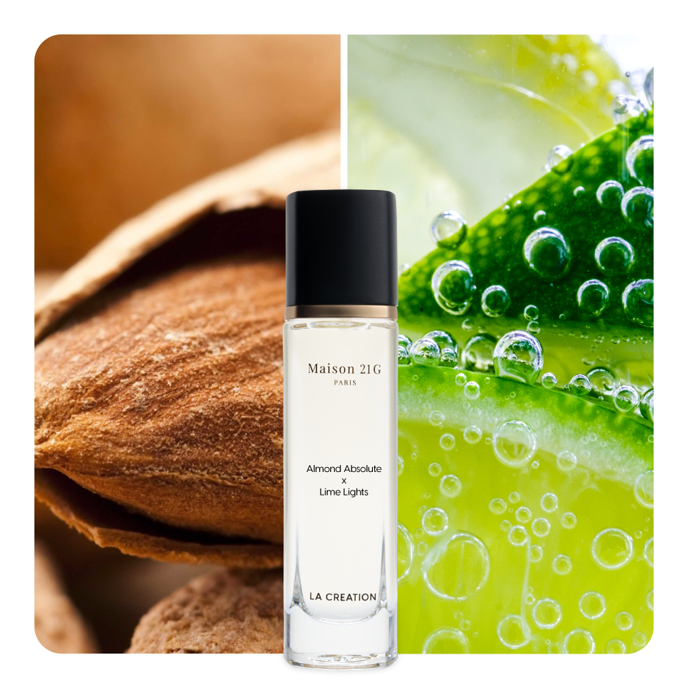 Nước hoa Almond Absolute x Lime Lights