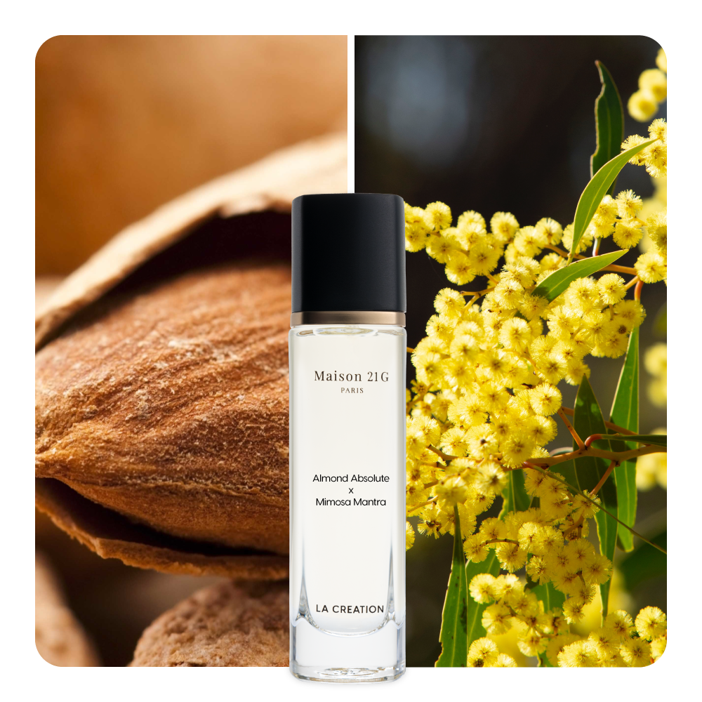 Nước hoa Almond Absolute x Mimosa Mantra