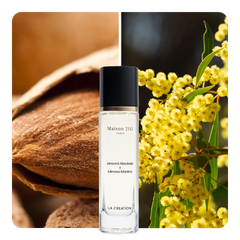 Nước hoa Almond Absolute x Mimosa Mantra