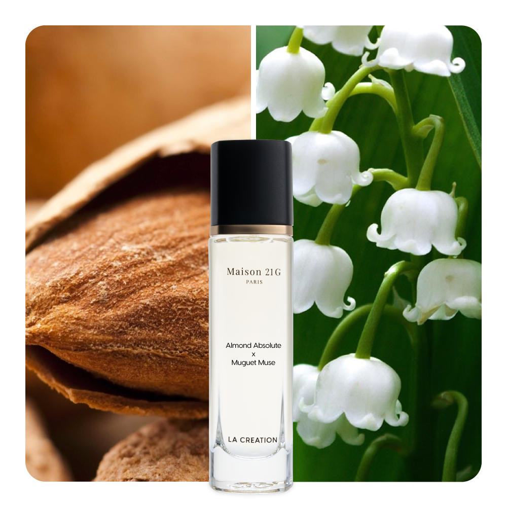 Nước hoa Almond Absolute x Muguet Muse