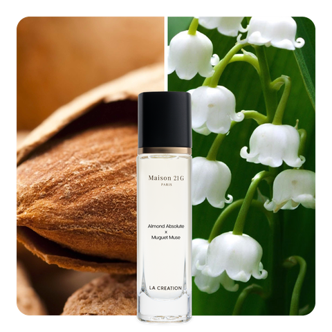 Nước hoa Almond Absolute x Muguet Muse