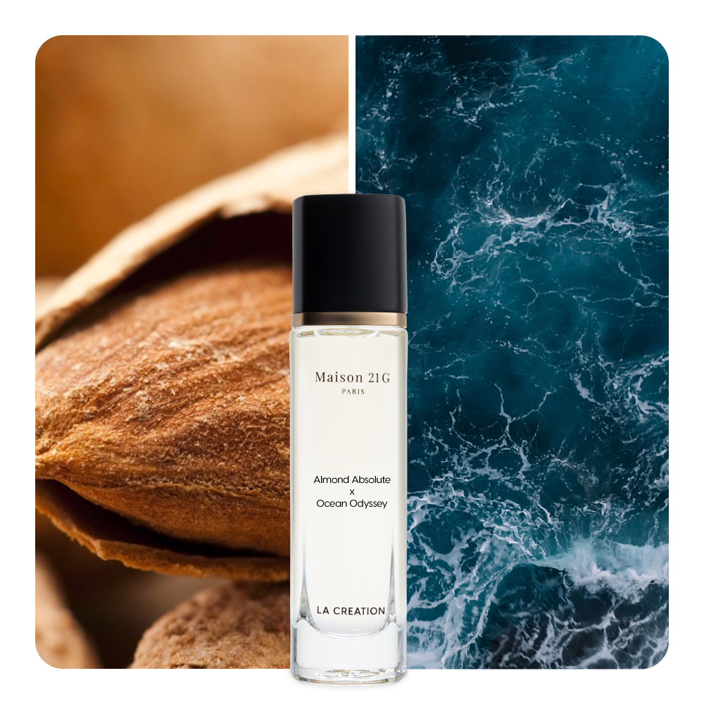Nước hoa Almond Absolute x Ocean Odyssey