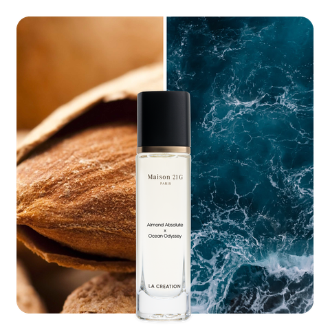 Nước hoa Almond Absolute x Ocean Odyssey