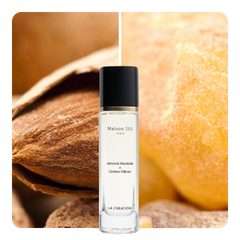Nước hoa Almond Absolute x Ombre Oliban