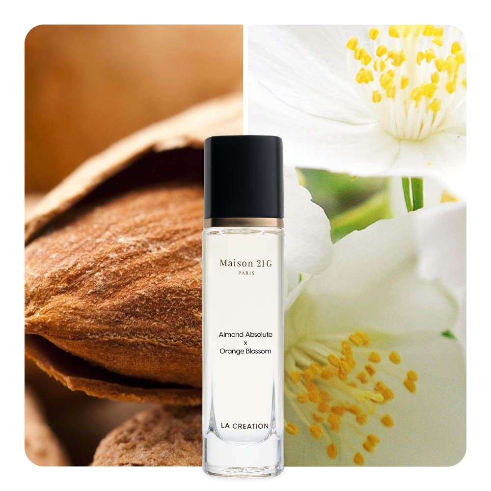Nước hoa Almond Absolute x Orange Blossom