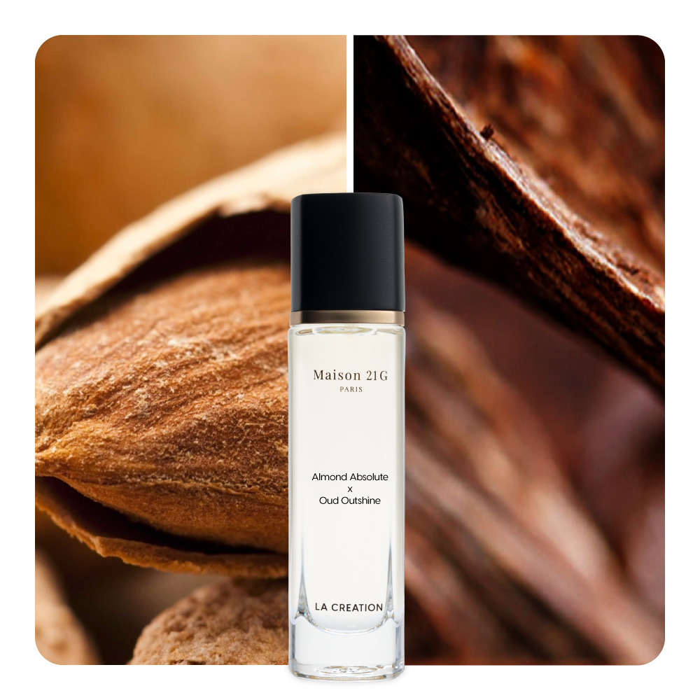 Nước hoa Almond Absolute x Oud Outshine