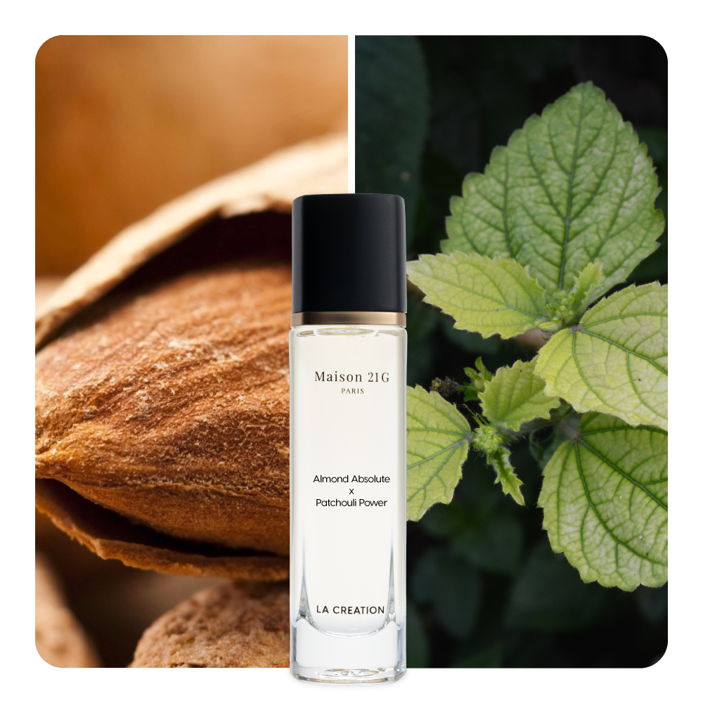 Nước hoa Almond Absolute x Patchouli Power