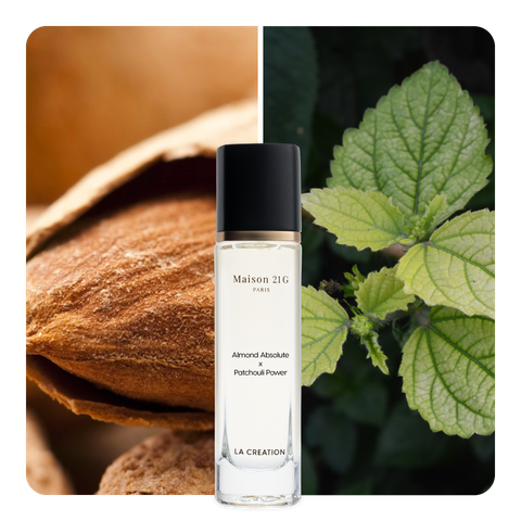 Nước hoa Almond Absolute x Patchouli Power