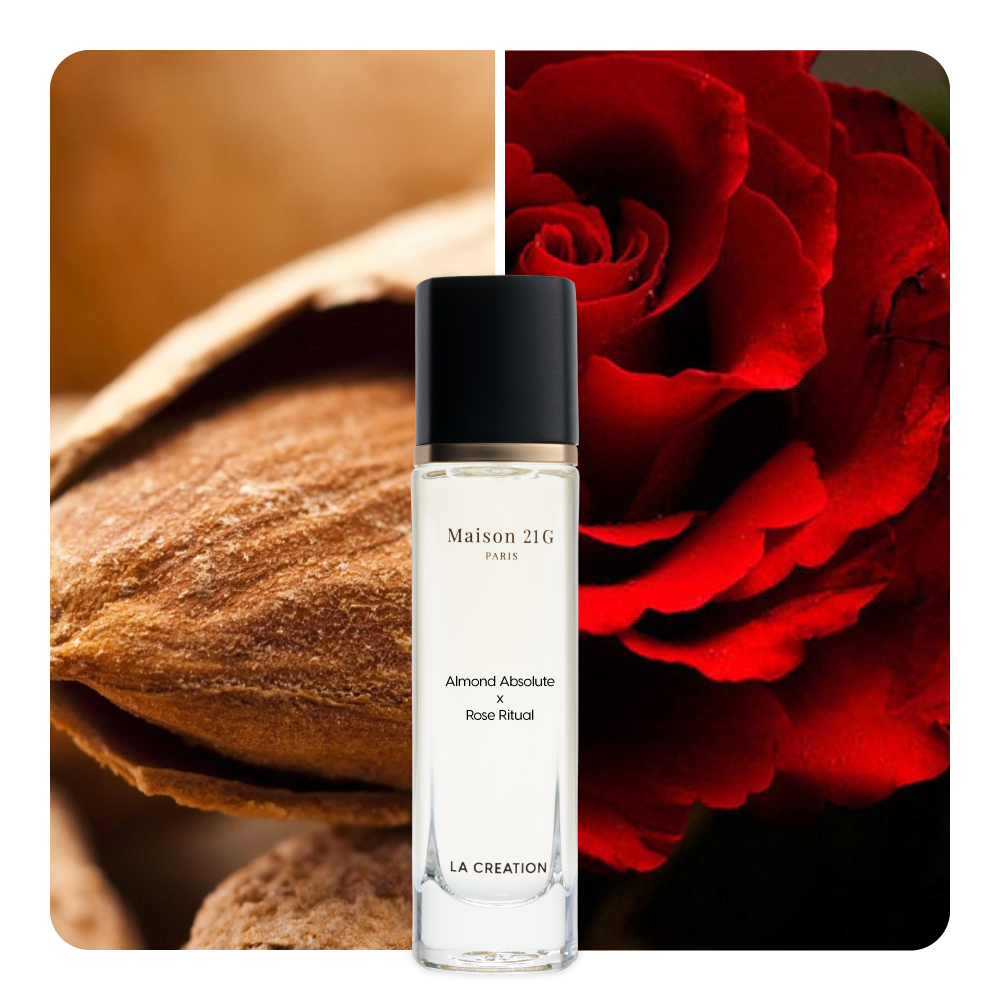 Nước hoa Almond Absolute x Rose Ritual
