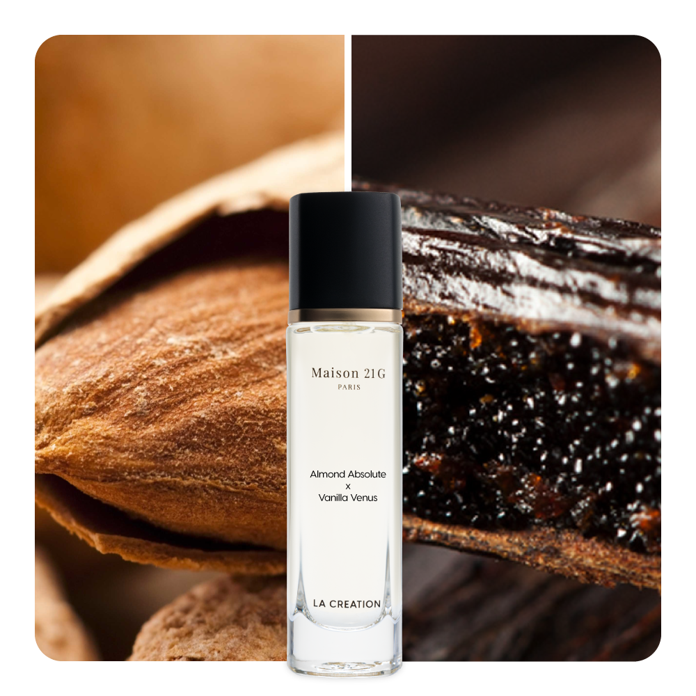 Nước hoa Almond Absolute x Vanilla Venus