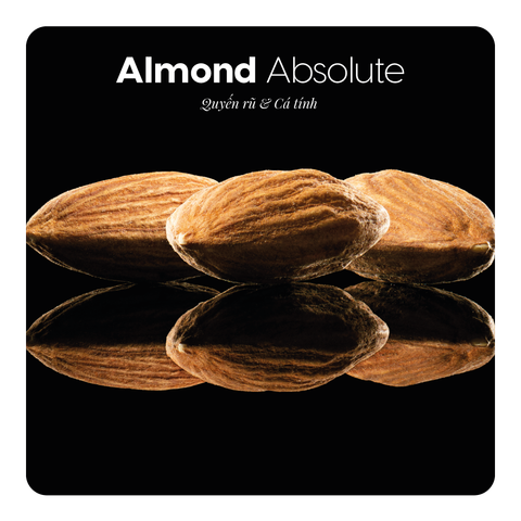 Nước hoa Almond Absolute