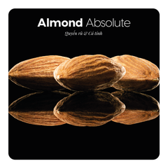 Nước hoa Almond Absolute