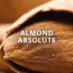 Nước hoa Almond Absolute x Amber Affair