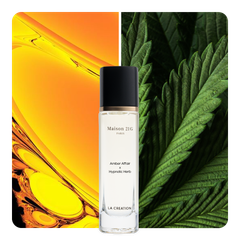 Nước hoa Amber Affair x Hypnotic Herb