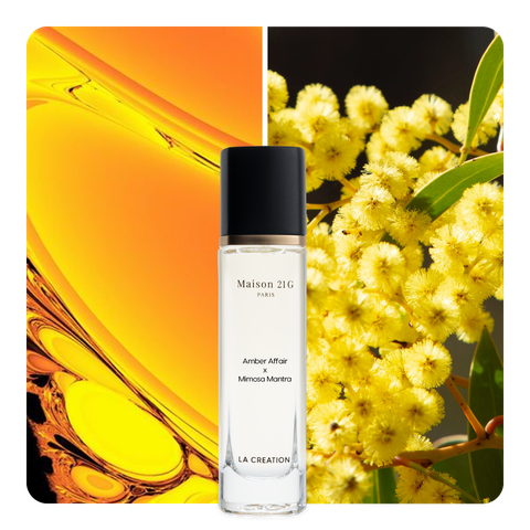 Nước hoa Amber Affair x Mimosa Mantra