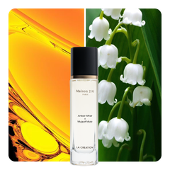 Nước hoa Amber Affair x Muguet Muse
