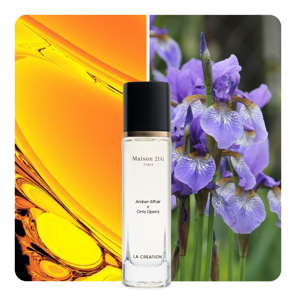 Nước hoa Amber Affair x Orris Opera