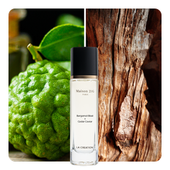 Nước hoa Bergamot Blast x Cedar Caviar