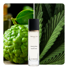Nước hoa Bergamot Blast x Hypnotic Herb