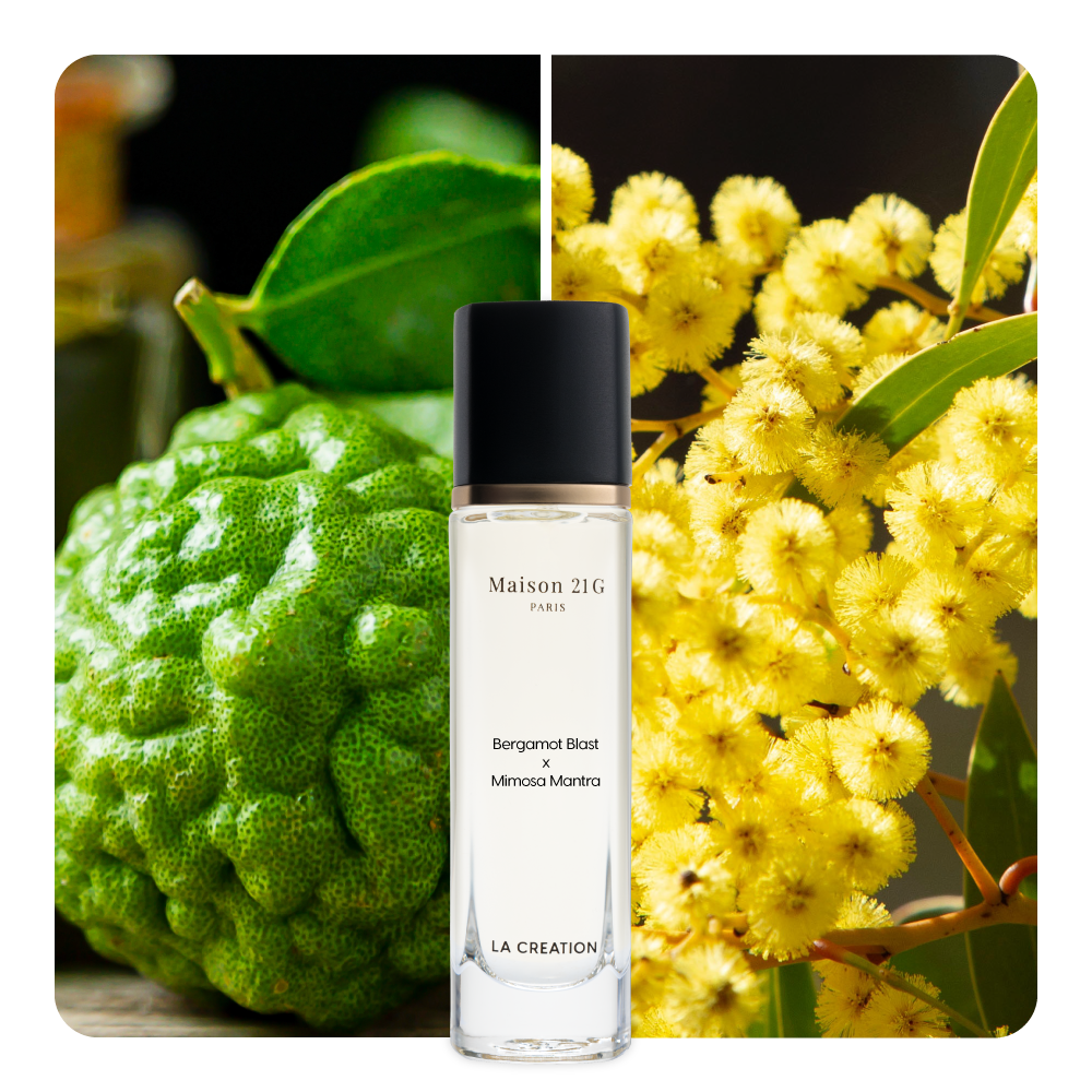 Nước hoa Bergamot Blast x Mimosa Mantra