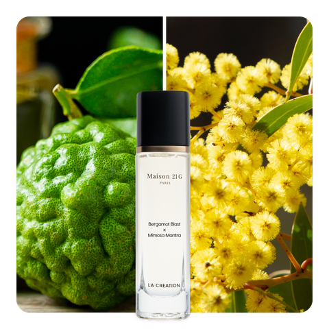 Nước hoa Bergamot Blast x Mimosa Mantra