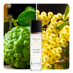 Nước hoa Bergamot Blast x Mimosa Mantra