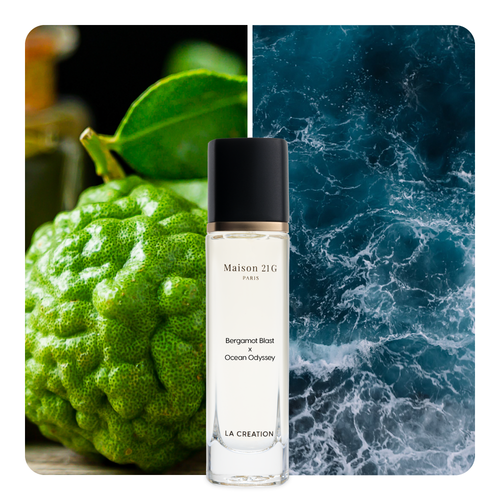 Nước hoa Bergamot Blast x Ocean Odyssey