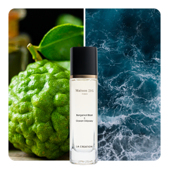 Nước hoa Bergamot Blast x Ocean Odyssey