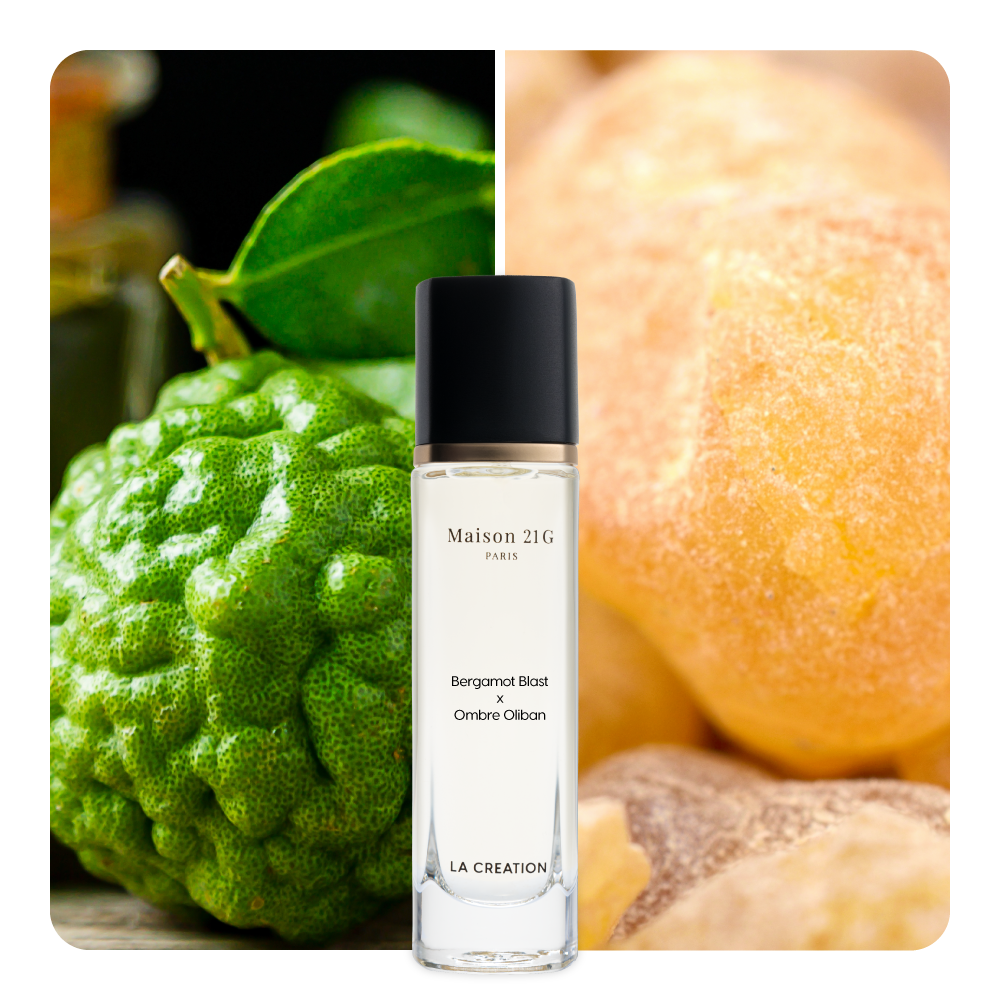 Nước hoa Bergamot Blast x Ombre Oliban